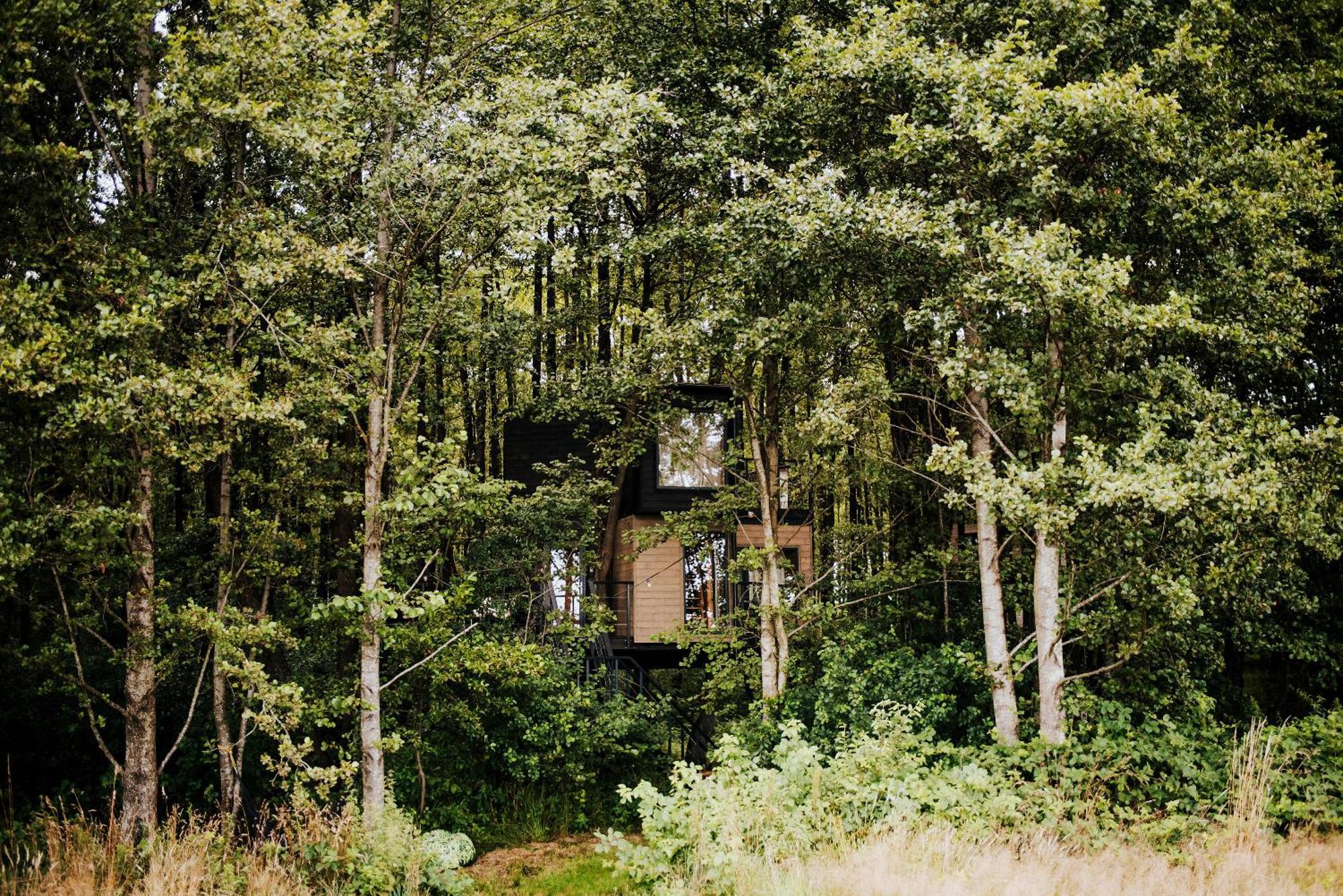 Dziki Las - Domki Na Drzewach Milomlyn Exterior photo